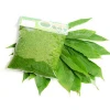 100% FRESH CASSAVA LEAF FOR FOOD INDUSTRY  WITH HIGH QUALITY FROM VIETNAM
