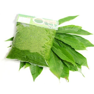 100% FRESH CASSAVA LEAF FOR FOOD INDUSTRY  WITH HIGH QUALITY FROM VIETNAM