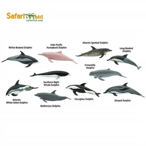 10Pcs/Set Dolphin Delphinidae Mini Animals Breakdown Sea Life Model Classic Toys for Boys 100475