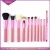 Import 11pcs Multipurpose Foundation bling makeup brush bb cream brush with cylinder case packaging from China