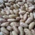 Import 2013 crop purple speckled Kidney beans from China