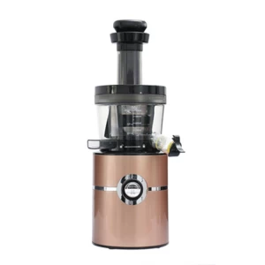 2020 Factory Wholesale Cold Pressed Screw Juicer