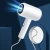 Import 2020 Hair Care Styling Mini Travel Professional One Step Portable Hair Dryer Salon Hair Dryers from China