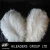 Import 2020 Hot Sale Ostrich Feather from China