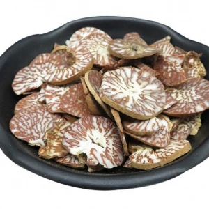 2020 hot selling factory direct selling high quality dried fruit medicine betel nut binglang