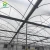 Import 2020 Popular hight light transparent PE film covering green house from China