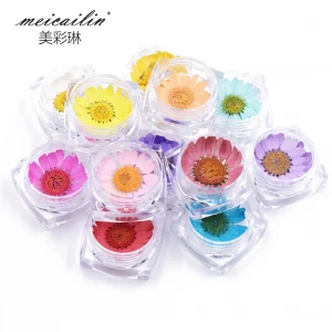 2020 Popular Product 12 Colors Nail art Dried Flowers Nail Art Nail Decorations