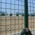 Import 2020 Top sale cheapest iron euro panel holland fence wire mesh from China