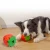 Import 2021 Creative Strawberry Food Dispenser Dog Toy Dog Training Toys Dog Toy from China