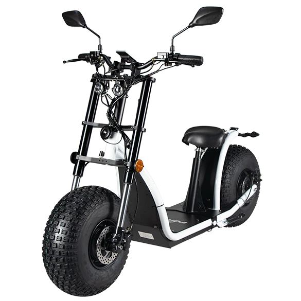 2021 Dual-hub motor New Design 2500W 60V EEC/COC certificate Powerful electric Scooter