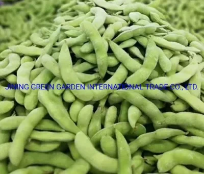 2021hot Selling Top Quality IQF Frozen Green Soy Bean, IQF Edamame in Pods, Frozen Edamame in Pods