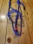 Import 2022 Horse Halter Rope colorful rope from Pakistan