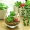 20pcs/set,artificial succulent plants,originally designed and produced,factory price and high quality.