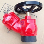 2.5" BS336 Screwed Fire Hydrant Landing Valve with Cap