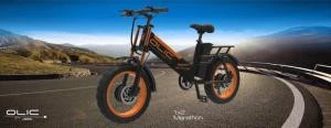 2x2 TurboCharge &amp; Marathon Both city and mountain electric bicycle 48V 2 motors 250W-500W &amp; 2 batteries 30AH up to range 300mile