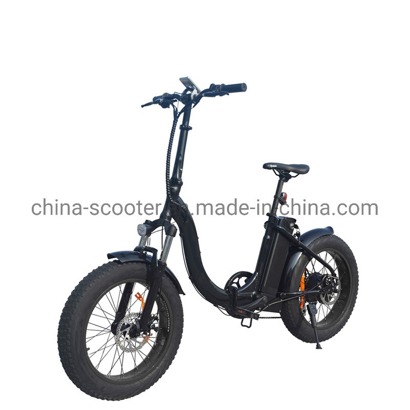 36V 250W Electric Bicycle with 20&quot; Wheel Fat Tyre