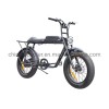 48V 500W Fat Tire Electric Bike/Bicycle, Electric Scooter (AOKEB002)