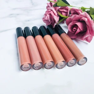 6 Colors Popular Nude Color Lipstick New Colors Private Label Vegan Lip Gloss Cosmetics Vendor