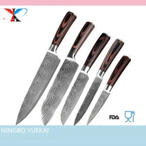 67 Layer Japanese VG10 Damascus Steel 5 pcs Kitchen Knife set with Pakkawood Handle