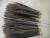 Import 90-100cm long Lady amherst side tail pheasant feathers for Carnival party decoration from China