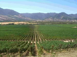 Agricultural Land for sale in Chile; SouthAmerica