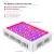 Import Amazon Best Seller full spectrum 300w LED grow lights for indoor plants from China