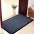 Import Amazon Hot 2-Pack Anti-slip PVC Doormat Floor Door Mat for Home Floor from China