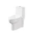 Import american standard toilet manufacturers best flushing water saving toto restroom commodes toilet stool from China