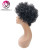 Import Angelbella Short Afro Curly Human Hair Wig Natural Black Color Short Brazilian Human Hair Wigs for Black Women from China