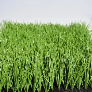 approved Artificial Turffor sport SS-065002-ZS521-6F