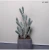 Import Artificial Plant Sale Artificial Indoor Plants, Baby Cactus Plant, Cactus Flowering Plants from China