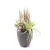 Import Artificial Succulent Plant Arrangement In Cement Pot Home Office Decor from China