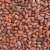 Import Best quality dried cocoa beans for sale from Philippines