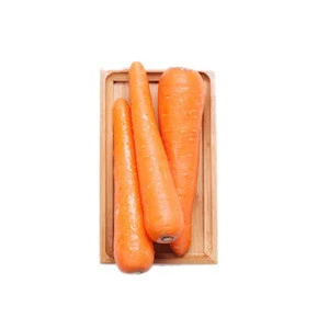 Best selling products fresh australian carrots