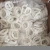 Import Blancing Bulk Packing Squid Rings Frozen from China