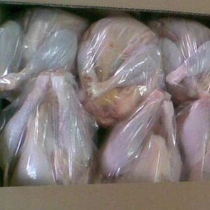 Brazilian Quality Halal Frozen Whole Chicken and Parts / / Thighs / Feet / Paws / Drums