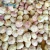 Import Bulk 10kg garlic in mesh bag of fresh garlic from China