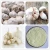Import Bulk allicin herbal extract supplement pure organic garlic powder price from China
