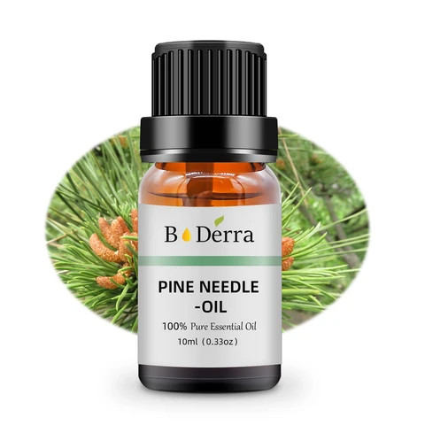 Bulk Wholesale Price Private Label 100% Pure Natural Organic Red Pine Needle Essential Oil For Massage & diffuser