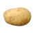 Import Buy Fresh natural high quality organic potatoes for sale from Brazil