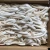 Import Buy Indian Ocean Squid Tentacle Frozen from China