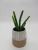 Import Ceramic sandy soil flower vase,flower pot for home decor from China