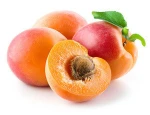 Cheap Fresh/Dried/sliced/Freeze Apricots Fruits