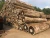 Import Cheap Wenge /Teak / IROKO/bilinga Wood Logs from China