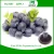 Import China manufacturer High Quality Blueberry powder for energy drink / Wild blueberry extract With Good Service from China