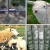 Import China manufacturer hot sale 10 15 30cm aperture Hinge joint fence Metal livestock fence panel deer cattle farm guard field fence from China