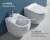 Import China Supplier ceramic sanitary ware Bathroom one piece hygiene toilet bidet for lady from China