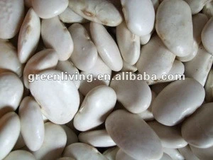 Chinese white kidney beans 180-220pcs/100g