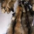 Import Chinese Wholesale Raccoon Fur Skin Tan faux Fur pom pom Pelt from China
