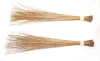 Coconut Broom Sticks for Home Cleaning Long Coconut Grass Brooms with Multiple Layer Grip Durable & Multi Usage